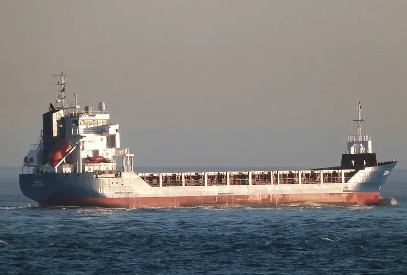 DARINA General Cargo IMO 9194062 photo 10