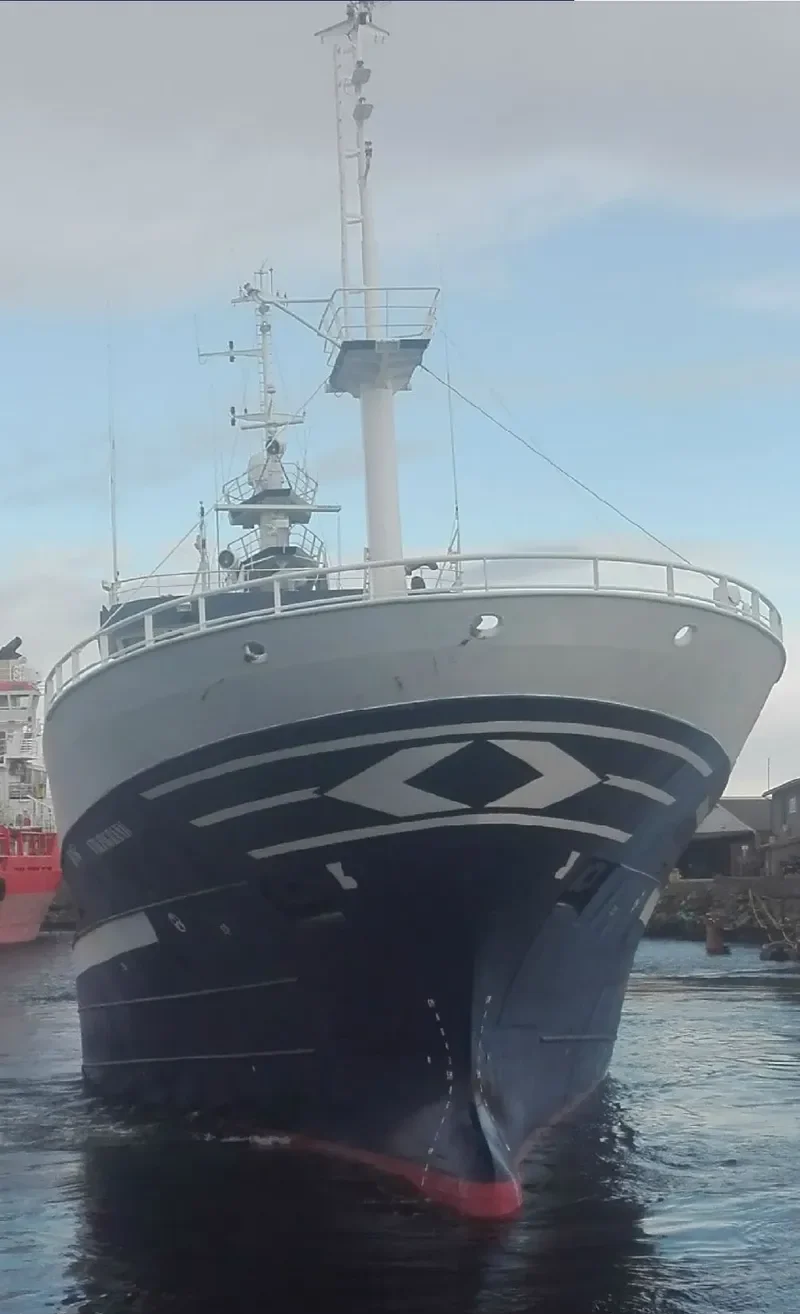 VIKINGBANK General Cargo IMO 9194323
