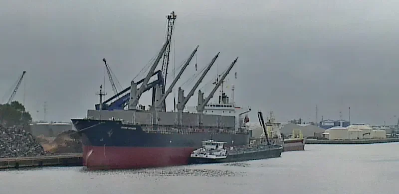 CROWN VOYAGER Bulk Carrier IMO 9194385