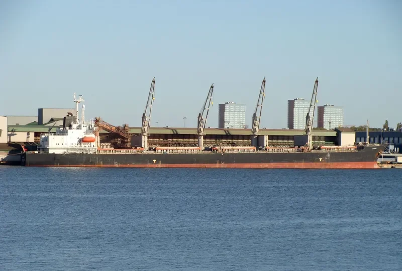 CROWN VOYAGER Bulk Carrier IMO 9194385 photo 2