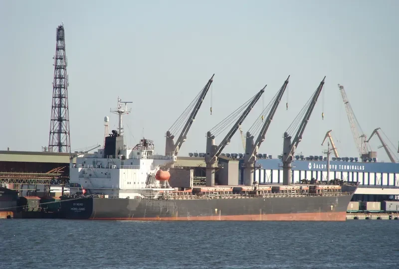 CROWN VOYAGER Bulk Carrier IMO 9194385 photo 3