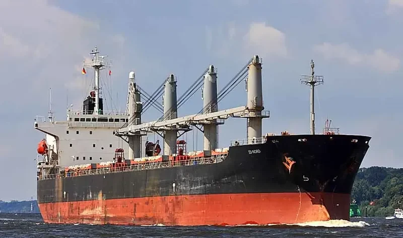 CROWN VOYAGER Bulk Carrier IMO 9194385 photo 6
