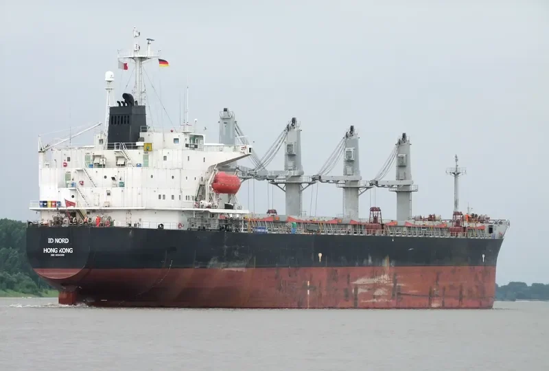 CROWN VOYAGER Bulk Carrier IMO 9194385 photo 8
