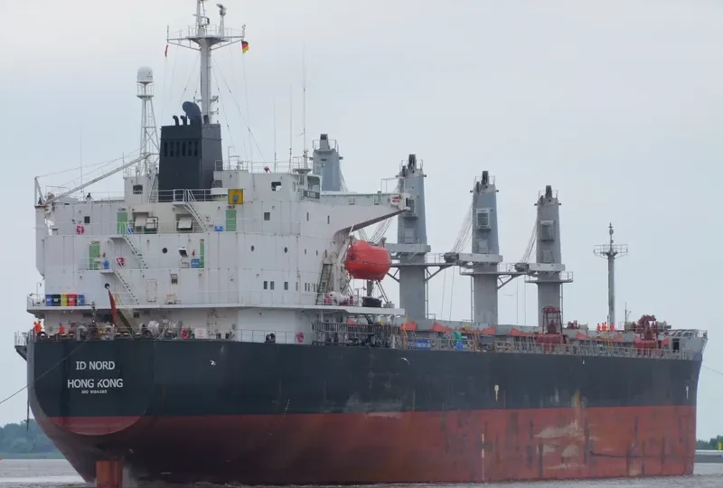 CROWN VOYAGER Bulk Carrier IMO 9194385 photo 9