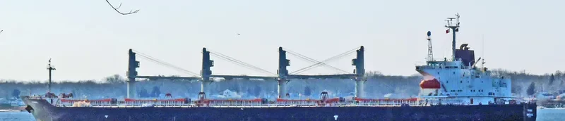 CROWN VOYAGER Bulk Carrier IMO 9194385 photo 10