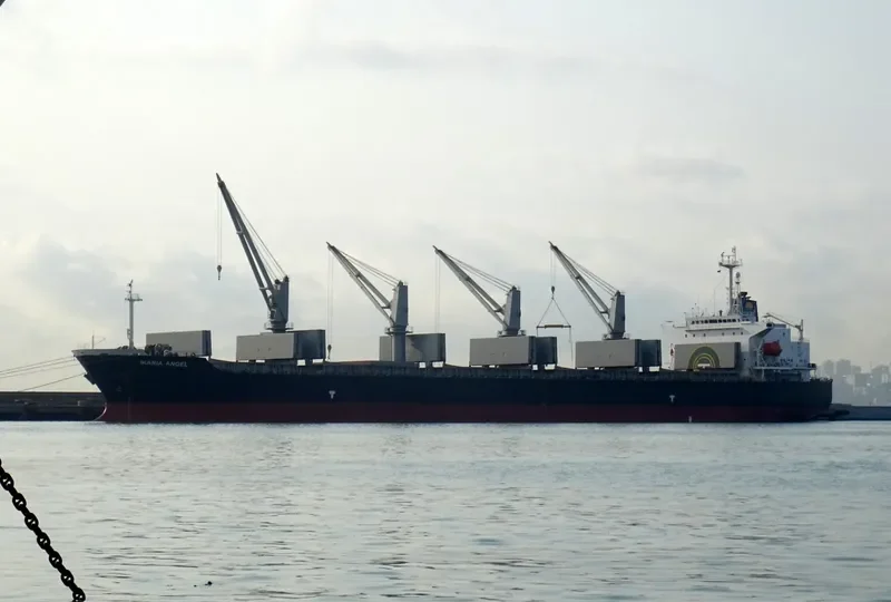 IKARIA ANGEL Bulk Carrier IMO 9194397
