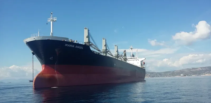 IKARIA ANGEL Bulk Carrier IMO 9194397 photo 3