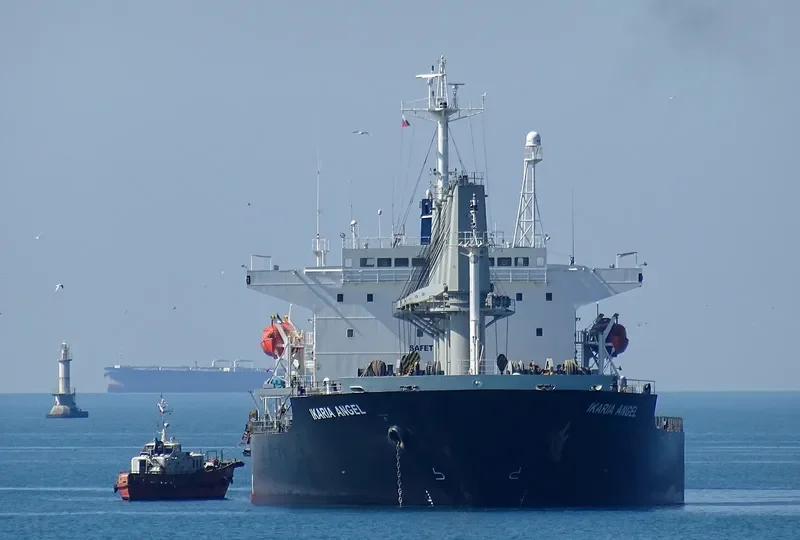 IKARIA ANGEL Bulk Carrier IMO 9194397 photo 4