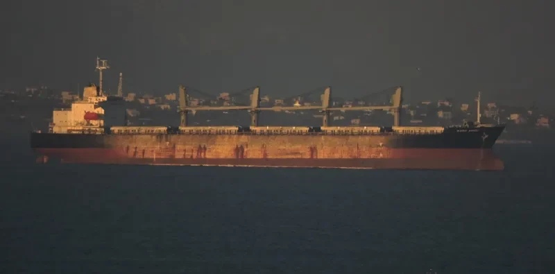 IKARIA ANGEL Bulk Carrier IMO 9194397 photo 9