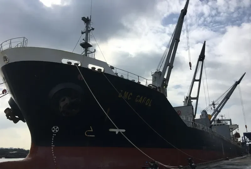 BMC CAROL Bulk Carrier IMO 9194440