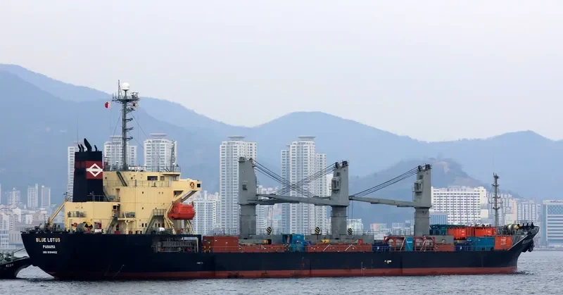 BLUE LOTUS Bulk Carrier IMO 9194452