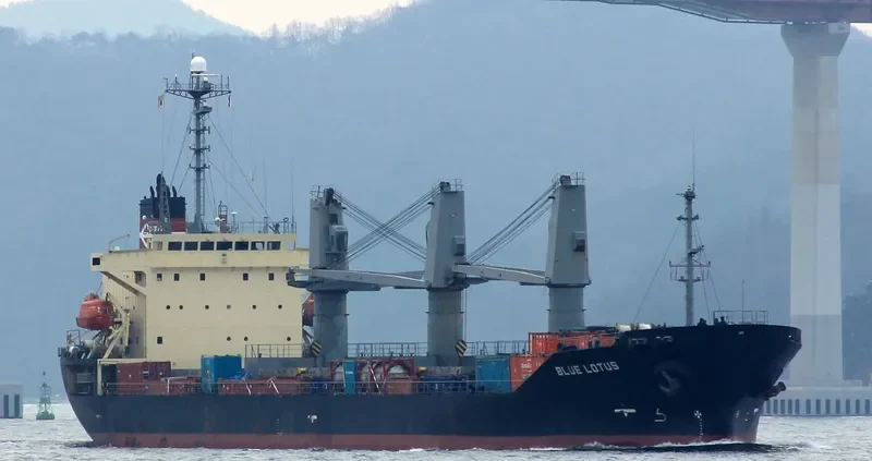 BLUE LOTUS Bulk Carrier IMO 9194452 photo 2