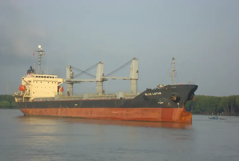 BLUE LOTUS Bulk Carrier IMO 9194452 photo 3
