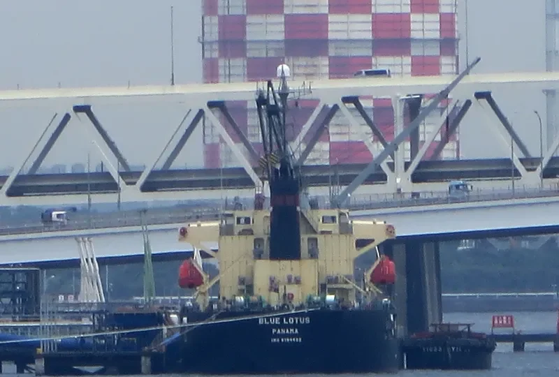 BLUE LOTUS Bulk Carrier IMO 9194452 photo 4