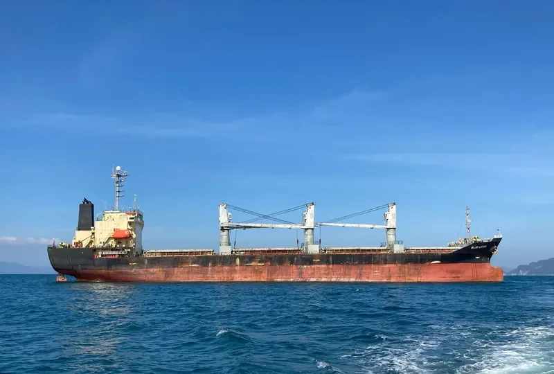 BLUE LOTUS Bulk Carrier IMO 9194452 photo 5