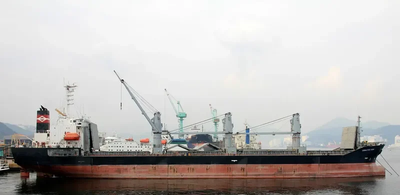 SEA LUCK Bulk Carrier IMO 9194464 photo 2