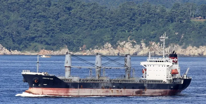 SEA LUCK Bulk Carrier IMO 9194464 photo 3