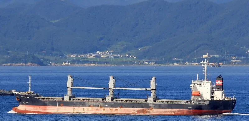 SEA LUCK Bulk Carrier IMO 9194464 photo 4