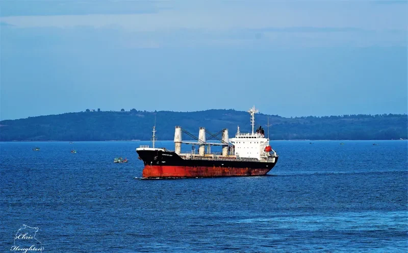 SEA LUCK Bulk Carrier IMO 9194464 photo 5