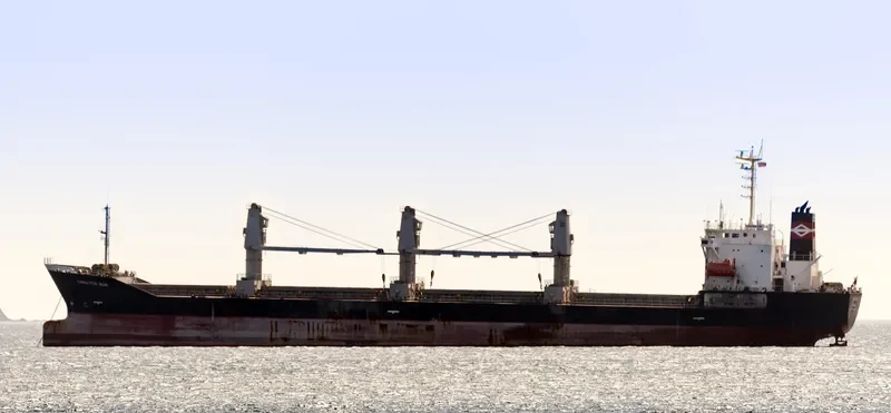 SEA LUCK Bulk Carrier IMO 9194464 photo 8