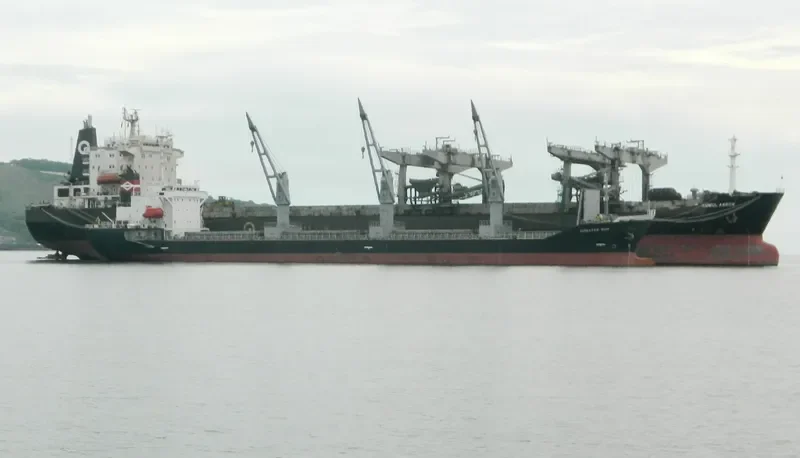 SEA LUCK Bulk Carrier IMO 9194464 photo 10