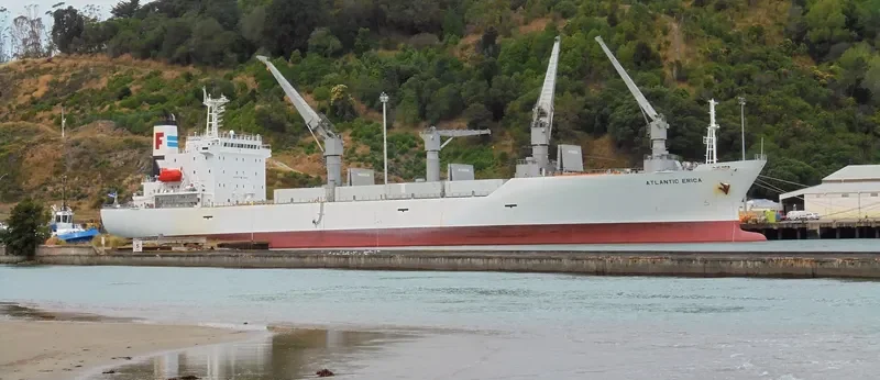 BALTIC ERICA General Cargo IMO 9194476 photo 2
