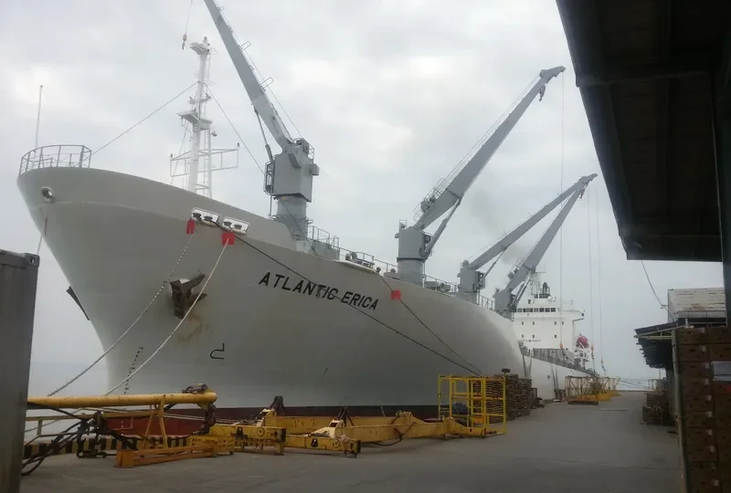 BALTIC ERICA General Cargo IMO 9194476 photo 4