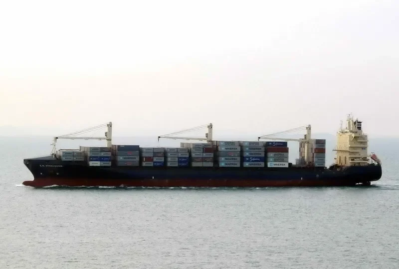 MSC CHERYL 3 Container Ship IMO 9194866 photo 3