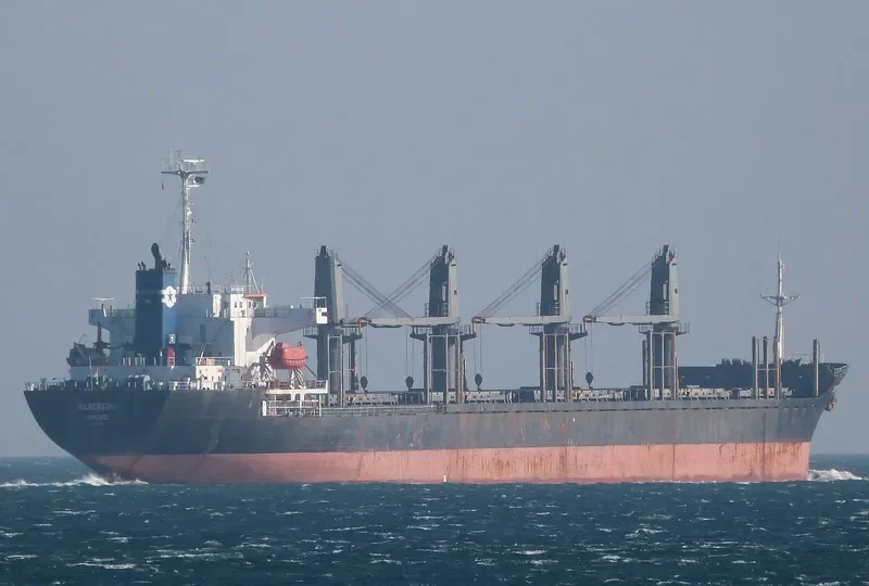 PARAGON Bulk Carrier IMO 9194880 photo 2