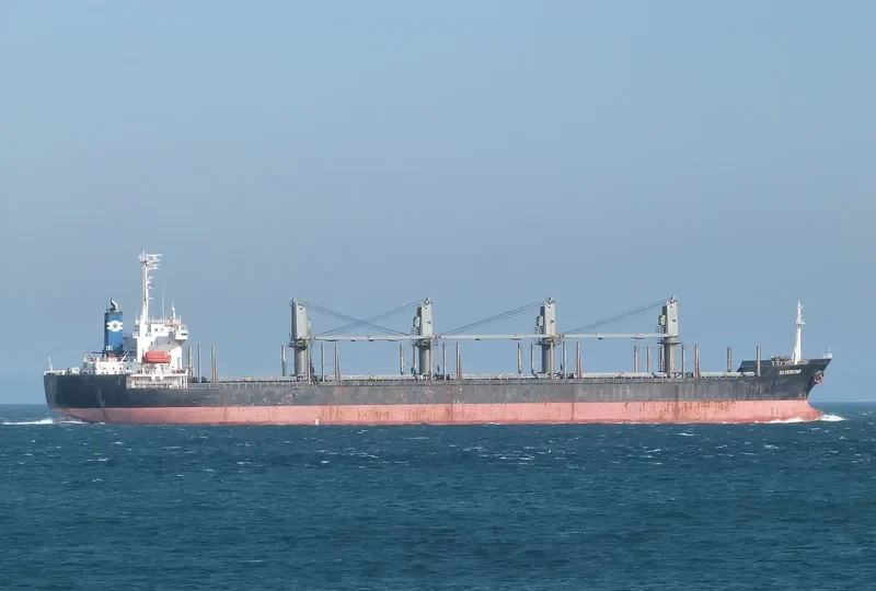 PARAGON Bulk Carrier IMO 9194880 photo 3