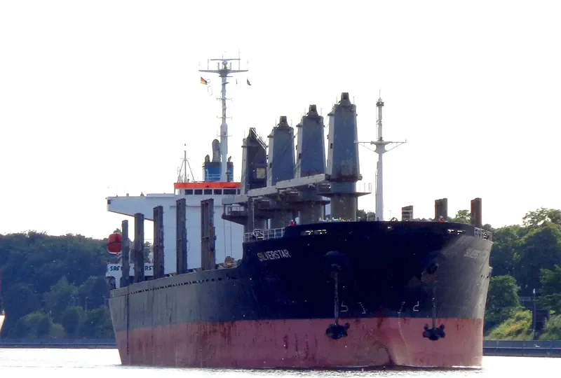 PARAGON Bulk Carrier IMO 9194880 photo 7
