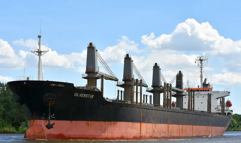 PARAGON Bulk Carrier IMO 9194880 photo 8