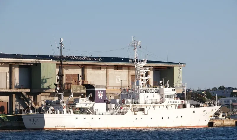 HOKUO MARU General Cargo IMO 9194971 photo 2