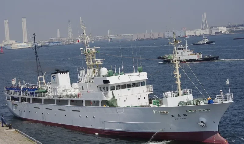 SHONAN MARU General Cargo IMO 9195016 photo 4
