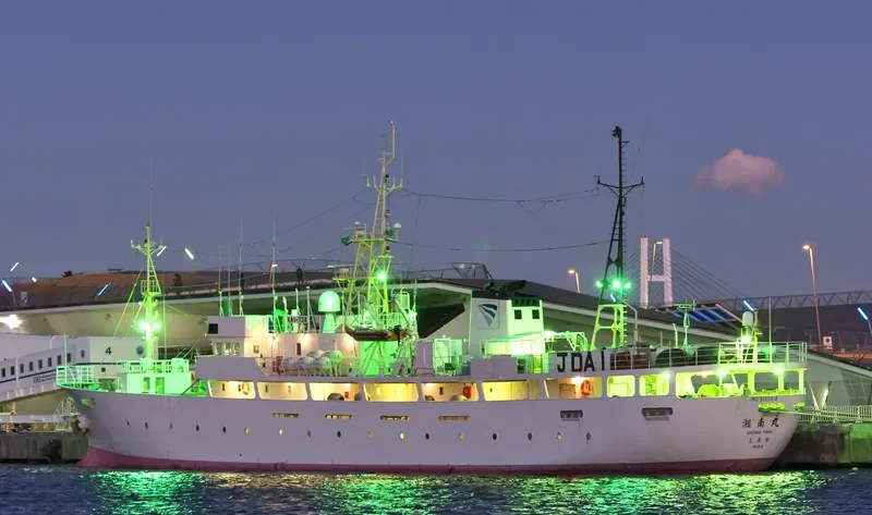 SHONAN MARU General Cargo IMO 9195016 photo 5