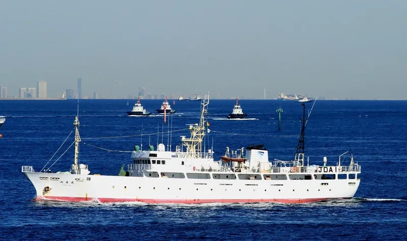 SHONAN MARU General Cargo IMO 9195016 photo 7