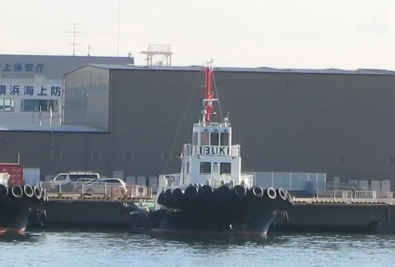 MAIZURU MARU General Cargo IMO 9195092