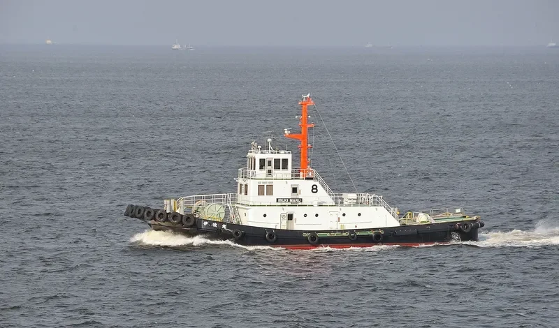 MAIZURU MARU General Cargo IMO 9195092 photo 3