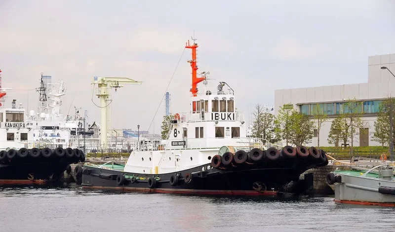 MAIZURU MARU General Cargo IMO 9195092 photo 4