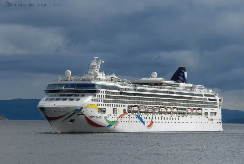 NORWEGIAN DAWN Passenger Ship IMO 9195169 photo 3