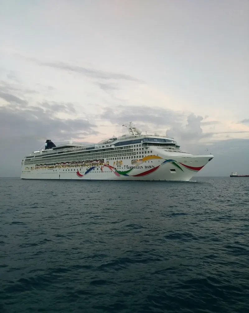 NORWEGIAN DAWN Passenger Ship IMO 9195169 photo 4