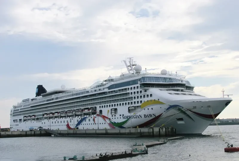 NORWEGIAN DAWN Passenger Ship IMO 9195169 photo 6