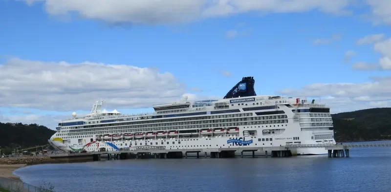 NORWEGIAN DAWN Passenger Ship IMO 9195169 photo 8