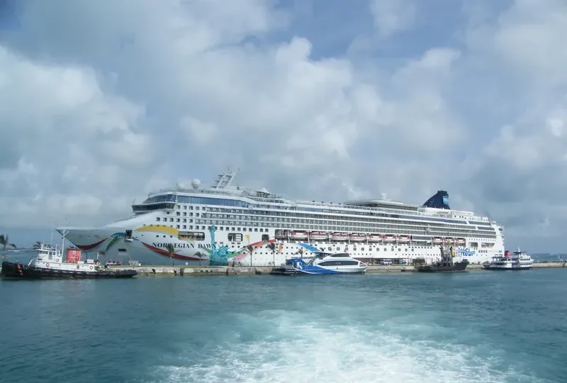 NORWEGIAN DAWN Passenger Ship IMO 9195169 photo 10