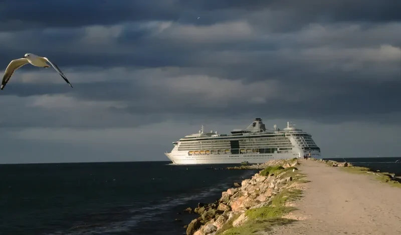 RADIANCE OF THE SEAS Passenger Ship IMO 9195195 photo 4