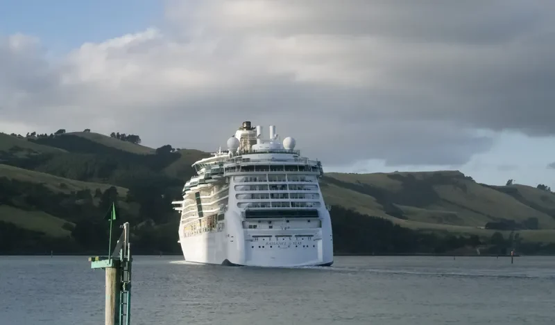 RADIANCE OF THE SEAS Passenger Ship IMO 9195195 photo 5