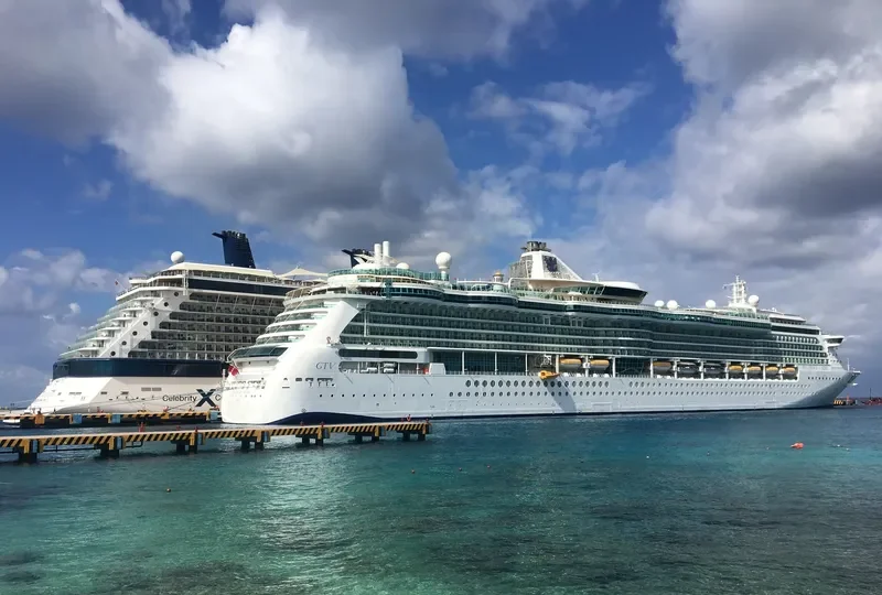 BRILLIANCE OF THE SEAS Passenger Ship IMO 9195200 photo 2