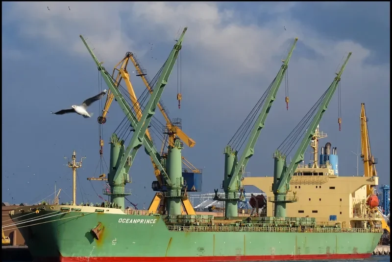OCEANPRINCE Bulk Carrier IMO 9195286