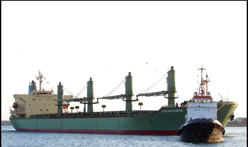 OCEANPRINCE Bulk Carrier IMO 9195286 photo 2