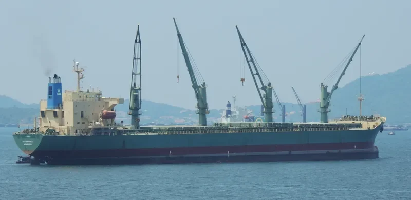 OCEANPRINCE Bulk Carrier IMO 9195286 photo 4